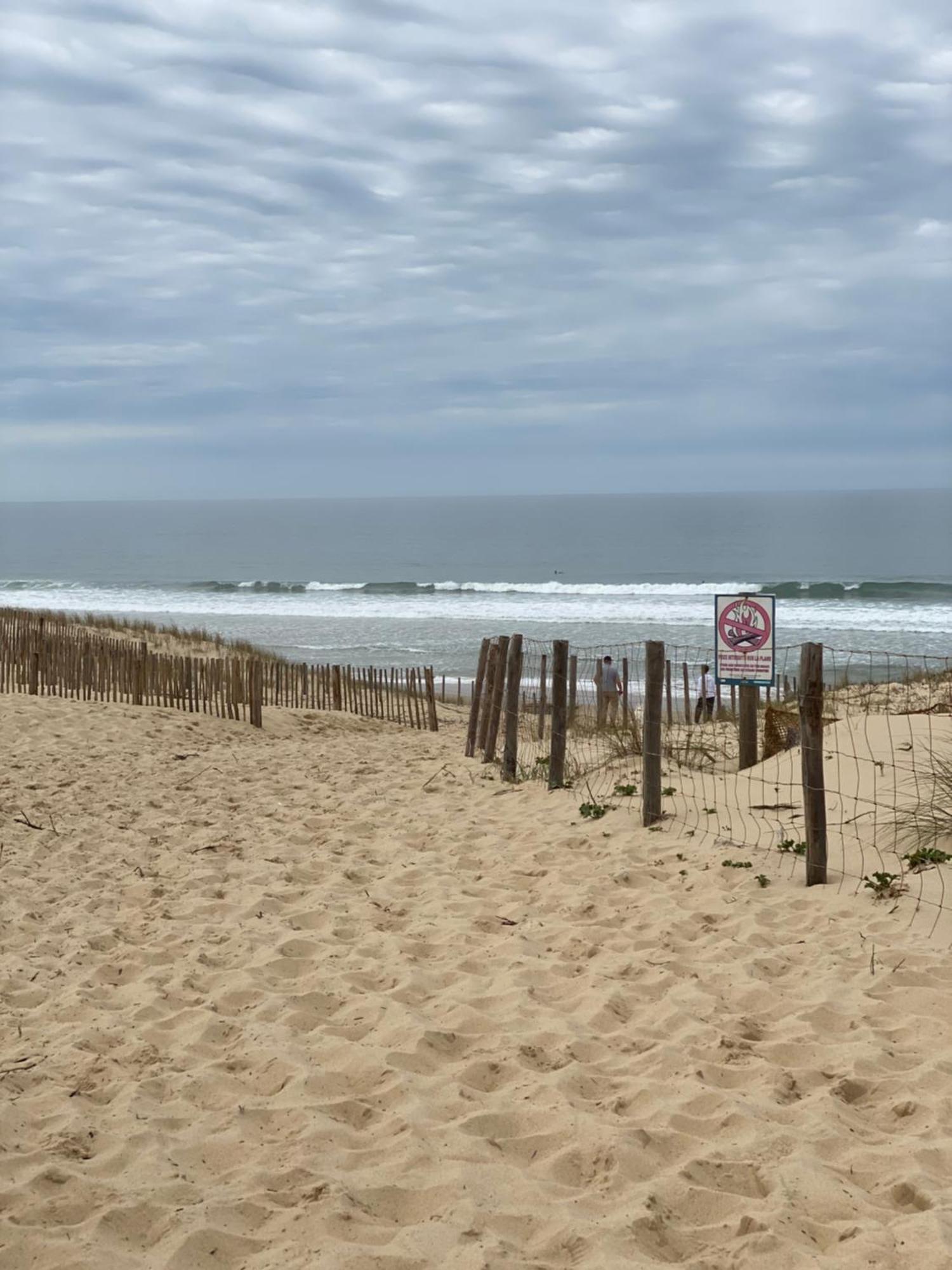 La Cabane Des Pins Lège-Cap-Ferret Exteriör bild