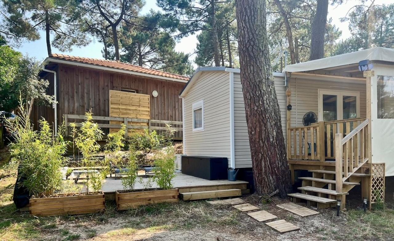 La Cabane Des Pins Lège-Cap-Ferret Exteriör bild