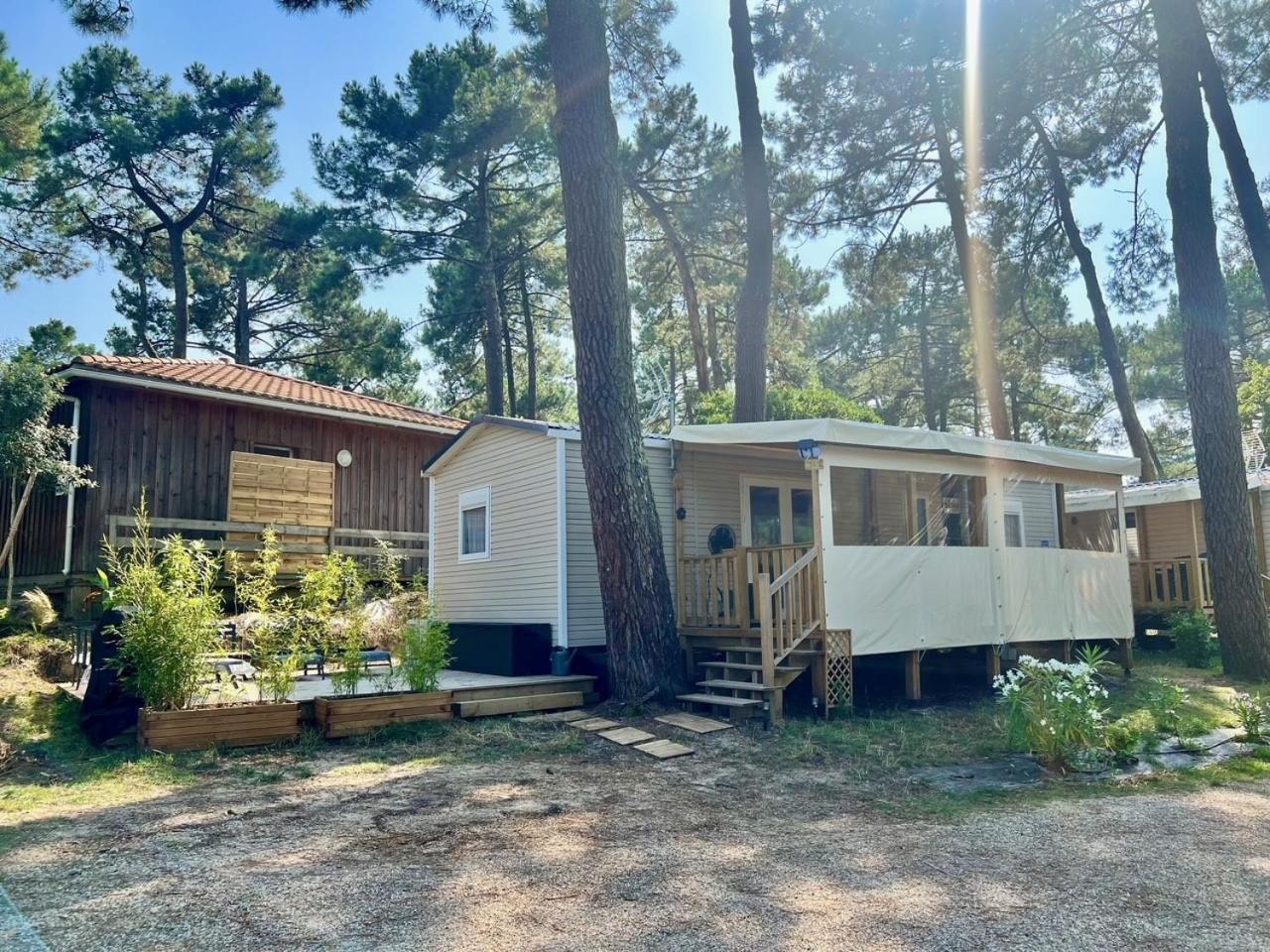 La Cabane Des Pins Lège-Cap-Ferret Exteriör bild